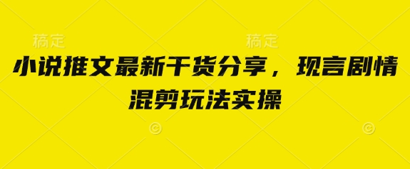 小说推文最新干货分享，现言剧情混剪玩法实操 - 冒泡网赚
