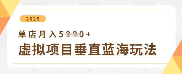 虚拟项目垂直玩法，实现单店月入5k+ - 冒泡网赚