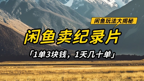 闲鱼卖纪录片1单3块钱，1天几十单，项目稳定有潜力 - 冒泡网赚