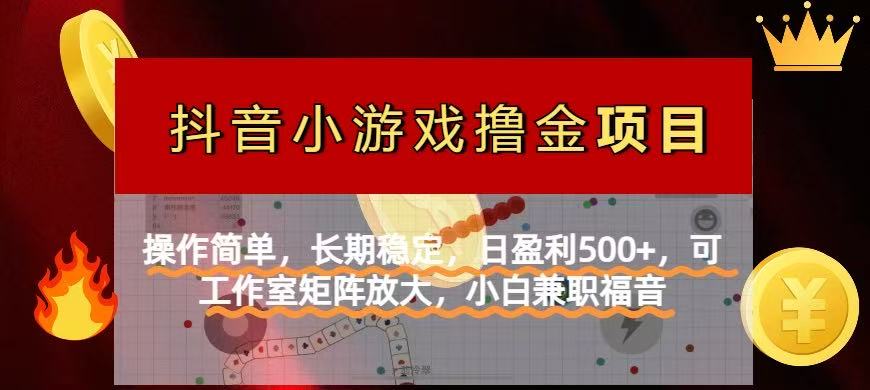 【抖音小游戏发行人计划项目】操作简单，长期稳定，日盈利500+，可工作... - 中创网