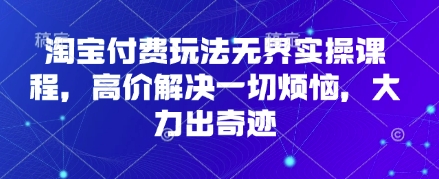 淘宝付费玩法无界实操课程，高价解决一切烦恼，大力出奇迹 - 冒泡网赚