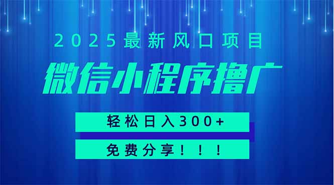 微信小程序撸广，最新风口项目，日入300+ 免费分享 可批量操作 小白可... - 中创网