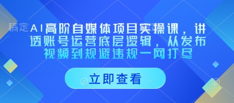 AI高阶自媒体项目实操课，讲透账号运营底层逻辑，从发布视频到规避违规一网打尽 - 冒泡网赚