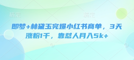即梦+林黛玉完爆小红书商单，3天涨粉1千，靠怼人月入5k+ - 冒泡网赚