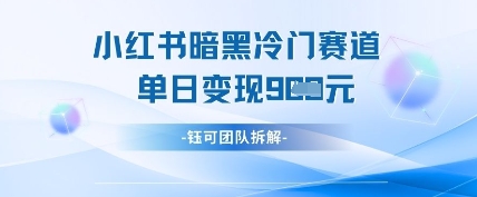 小红书冷门”暗黑”赛道，单日收益多张 - 冒泡网赚