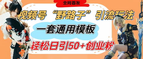 视频号“野路子”玩法，评论区疯狂截流，一套模板单日单号引流50+创业粉 - 冒泡网赚