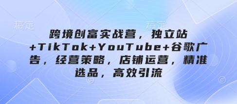 跨境创富实战营，独立站+TikTok+YouTube+谷歌广告，经营策略，店铺运营，精准选品，高效引流 - 冒泡网赚