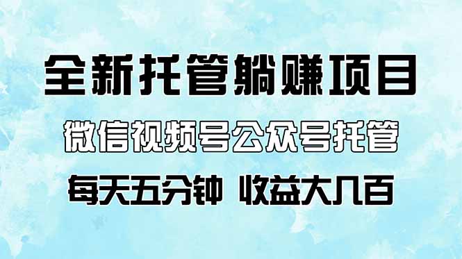 全新托管躺赚项目，微信视频号公众号托管代运营，每天五分钟，收益大几百 - 中创网