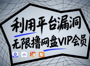 利用平台漏洞，无限撸网盘VIP会员，用户亲测有效!【漏洞原理+操作演示】 - 冒泡网赚