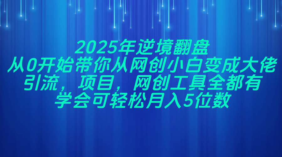 2025年逆境翻盘，从0开始带你从网创小白变成大佬，引流，项目，网创工... - 中创网
