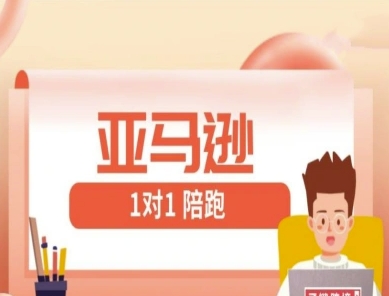 亚马逊1对1陪跑课(FBA/FBM精铺)跨境亚马逊教程 - 冒泡网赚