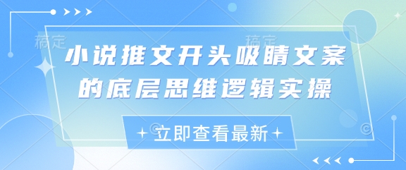 小说推文开头吸睛文案的底层思维逻辑实操 - 冒泡网赚