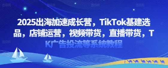 2025出海加速成长营，TikTok基建选品，店铺运营，视频带货，直播带货，TK广告投流等系统教程 - 冒泡网赚