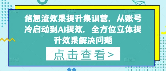 信息流效果提升集训营，从账号冷启动到AI提效，全方位立体提升效果解决问题 - 冒泡网赚