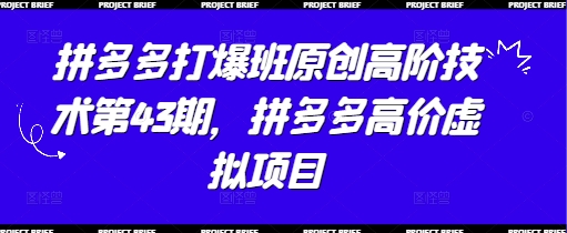 拼多多打爆班原创高阶技术第43期，拼多多高价虚拟项目 - 冒泡网赚