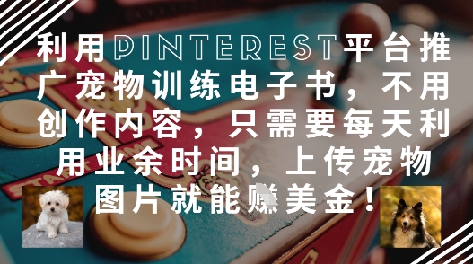 利用Pinterest平台推广宠物训练电子书，不用创作内容，只需要每天利用业余时间，上传宠物图片就能挣美金! - 冒泡网赚
