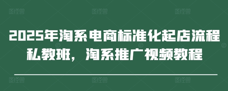 2025年淘系电商标准化起店流程私教班，淘系推广视频教程 - 冒泡网赚