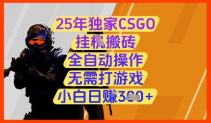 25年独家CSGO挂G搬砖，全自动操作，无需打游戏，小白日入3张+ - 冒泡网赚