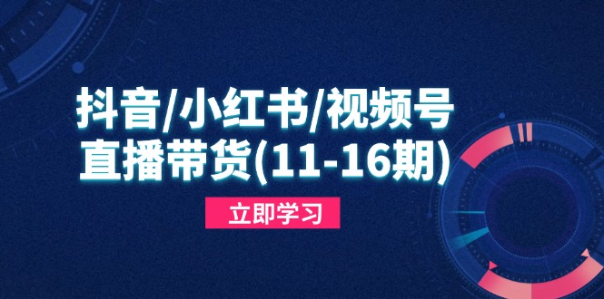 抖音/小红书/视频号/直播带货，快速掌握平台规则，打造爆款内容 - 中创网