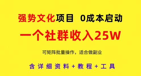 强势文化项目，一个社群收入25个W，0成本启动，可矩阵批量操作，原创详细实操教程 - 冒泡网赚