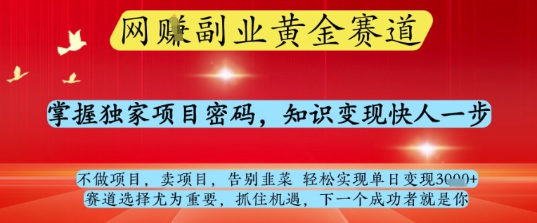 网创副业黄全赛道，掌握独家项目密码，知识变现快人一步，告别韭菜轻松实现单日变现1k+ - 冒泡网赚