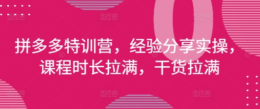 拼多多特训营，经验分享实操，课程时长拉满，干货拉满(更新25年4月) - 冒泡网赚