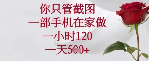 你只管截图，一部手机在家可以做，一小时120.一天5张+ - 冒泡网赚