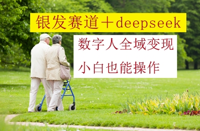 银发赛道+deepseek数字人全域变现，小白也能操作 - 冒泡网赚