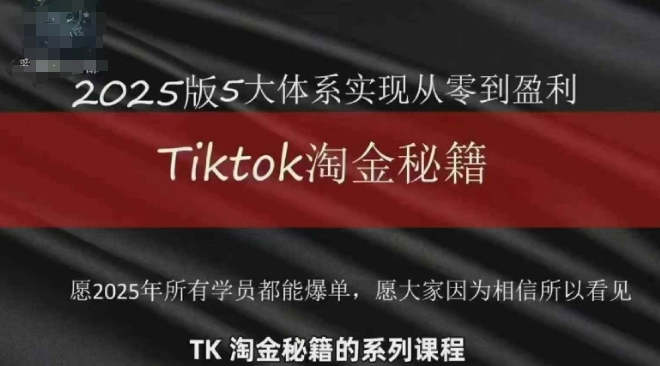 TikTok跨境2025淘金秘籍，​2025TikTok从0到盈利变现 - 冒泡网赚