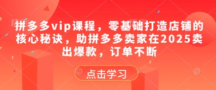 拼多多vip课程，零基础打造店铺的核心秘诀，助拼多多卖家在2025卖出爆款，订单不断 - 冒泡网赚