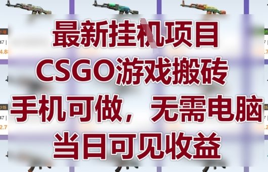 最新挂G项目，CSGO游戏搬砖，手机可做，无需电脑，当日见收益 - 冒泡网赚