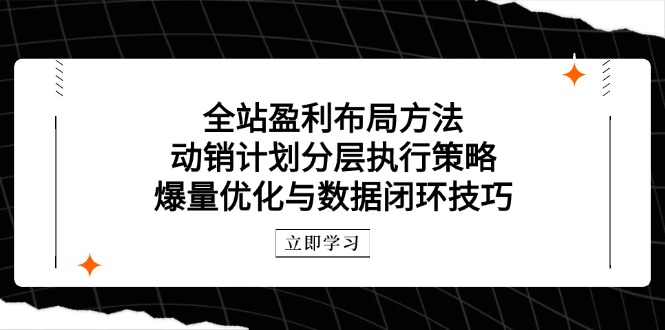 全站盈利布局方法：动销计划分层执行策略，爆量优化与数据闭环技巧 - 中创网