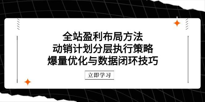 全站盈利布局方法：动销计划分层执行策略，爆量优化与数据闭环技巧 - 福缘创业网