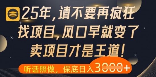 什么？25年你还在疯狂找项目做，醒醒吧，看完这些你全都懂了 - 冒泡网赚