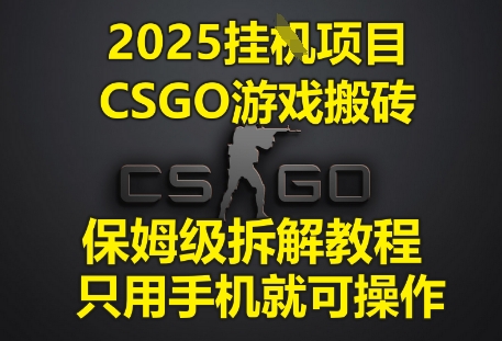 2025挂G项目，CSGO游戏搬砖，保姆级拆解教程，只用手机就可操作 - 冒泡网赚