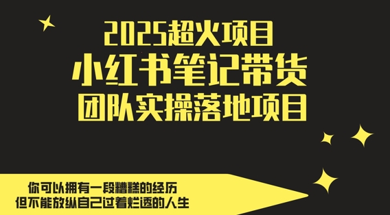2025超火项目，副业最佳选择，小红书笔记带货团队实操落地项目，，轻松日入5张 - 冒泡网赚