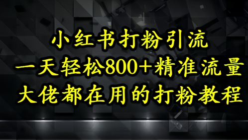 小红书打粉引流，一天轻松500+精准流量，大佬都在用的打粉教程 - 冒泡网赚