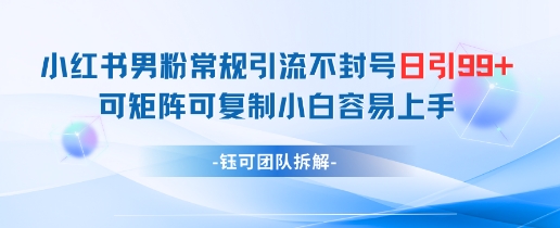 小红书男粉常规引流不封号日引99+变现简单 可矩阵可复制小白容易上手 - 冒泡网赚