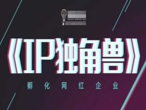 IP独角兽，孵化网红企业，ip教程 - 冒泡网赚