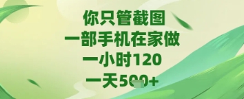 你只管截图，一部手机在家做，苹果安卓都可以，一天5张+ - 冒泡网赚