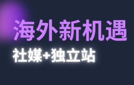 2025出海新机遇(社媒+独立站)，海外新机遇，实现独立站的高效运营与出海 - 冒泡网赚