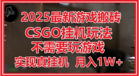 2025最新游戏搬砖，CSGO挂G，不需要玩游戏，实现真挂G，月入1W+ - 冒泡网赚