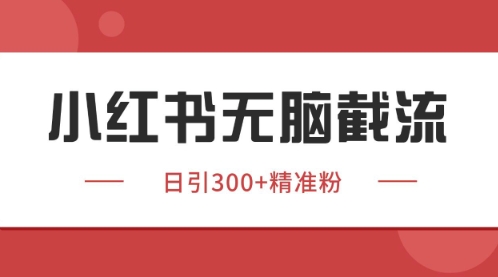 小红书只要你有同行就能获客，独家野路子获客玩法，暴力截流 - 冒泡网赚