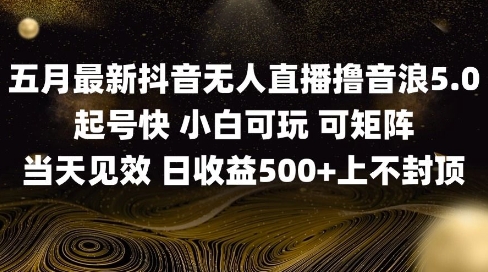 2025五月最新无人直播撸音浪单日产出5张+实操教程 - 冒泡网赚