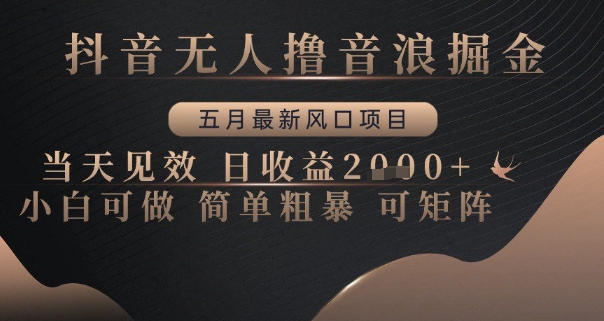 抖音无人撸音浪掘金，五月最新风口项目，当天见效，日收益多张，小白可做简单粗暴可矩阵 - 冒泡网赚