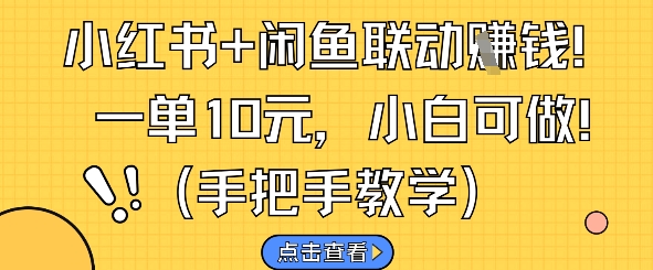 小红书+闲鱼联动挣钱，一单10元，小白可做 - 冒泡网赚