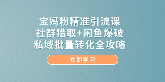 宝妈粉精准引流课，社群猎取+闲鱼爆破，私域批量转化全攻略 - 中创网