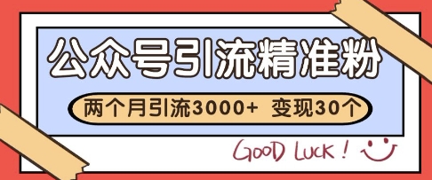 公众号精准粉引流玩法，2个月3000+精准粉，变现30个W - 冒泡网赚