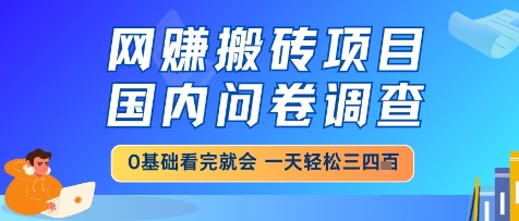 网创搬砖项目，国内问卷调查，小白轻松上手，一天三四张的也不难，干就完了 - 冒泡网赚