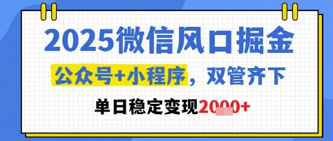2025微信风口掘金，公众号+小程序双管齐下，单日稳定变现1k+ - 冒泡网赚